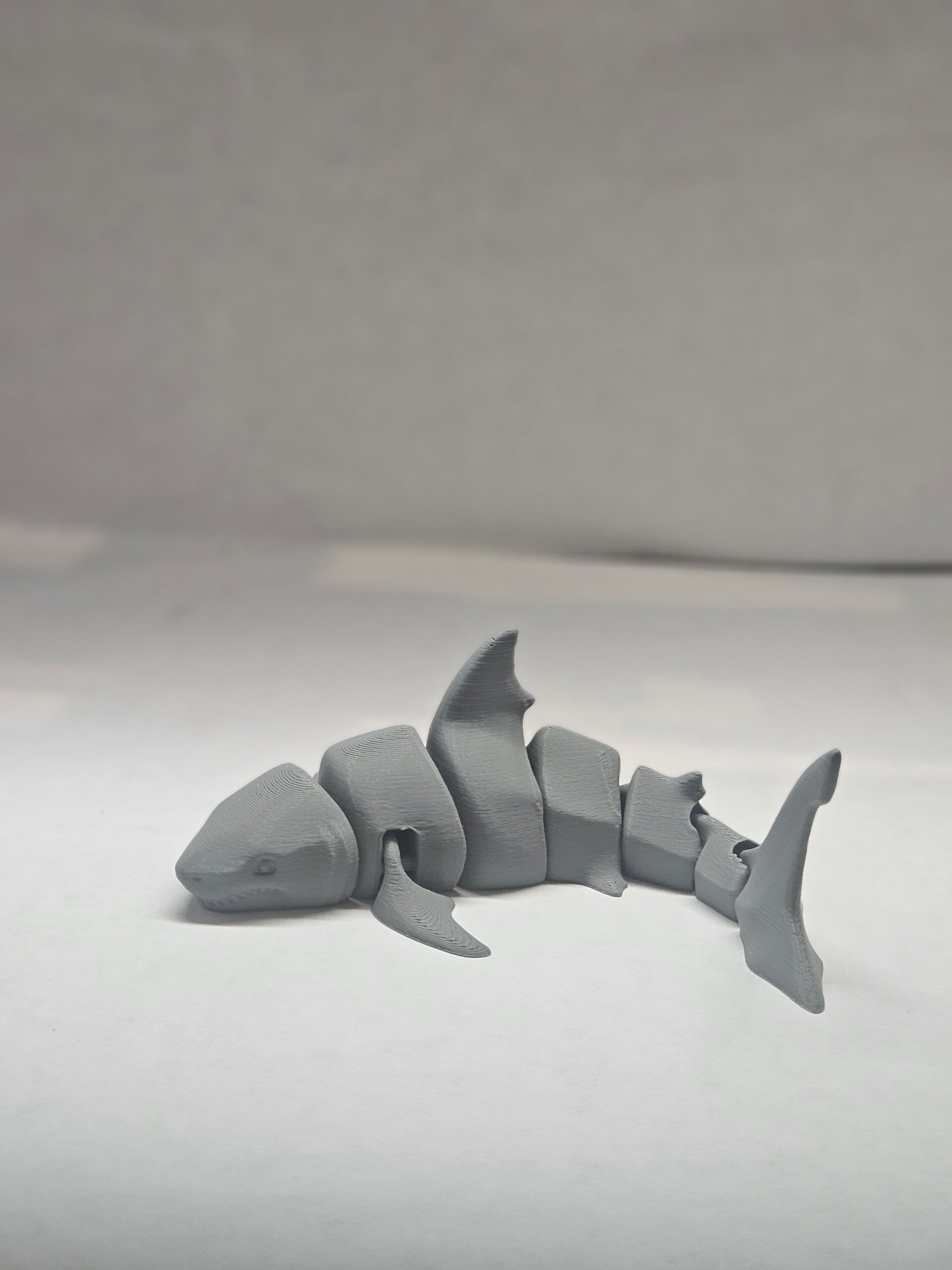 Shark