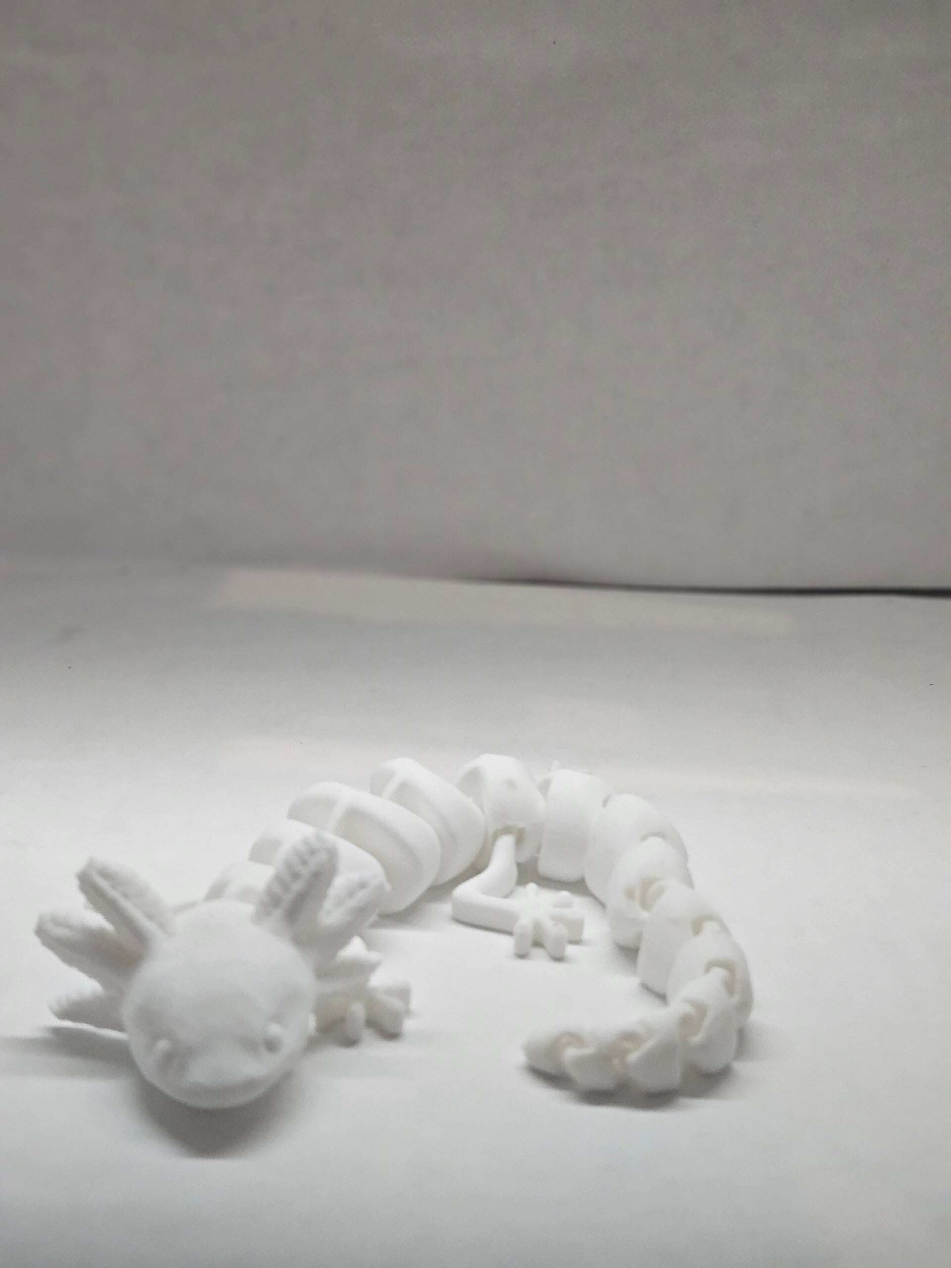 Axolotl