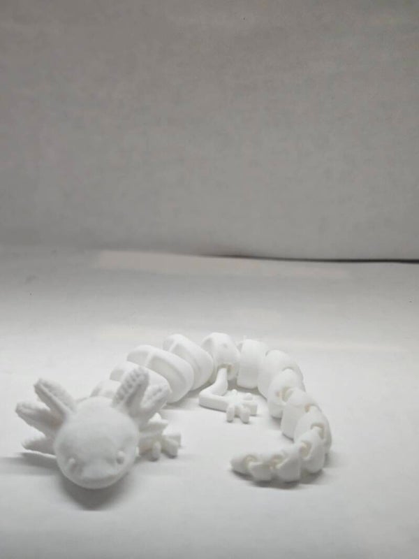 Axolotl