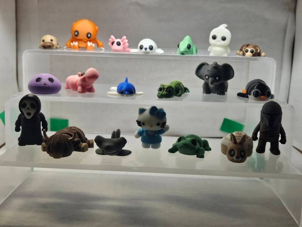 Pocket Pals
