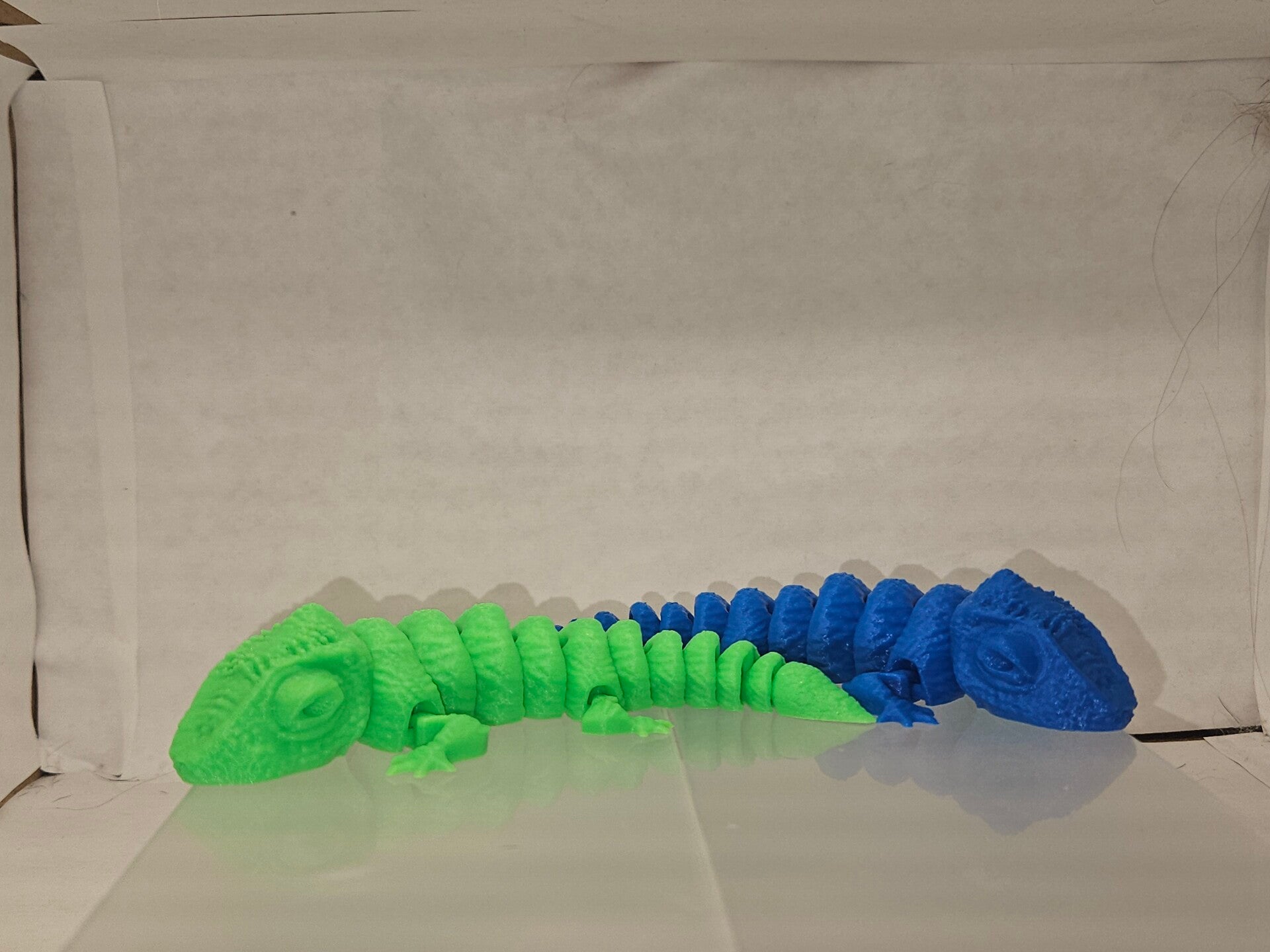Chameleon