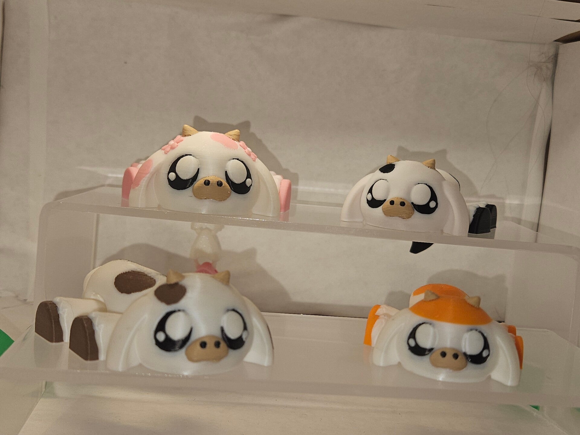 Cows