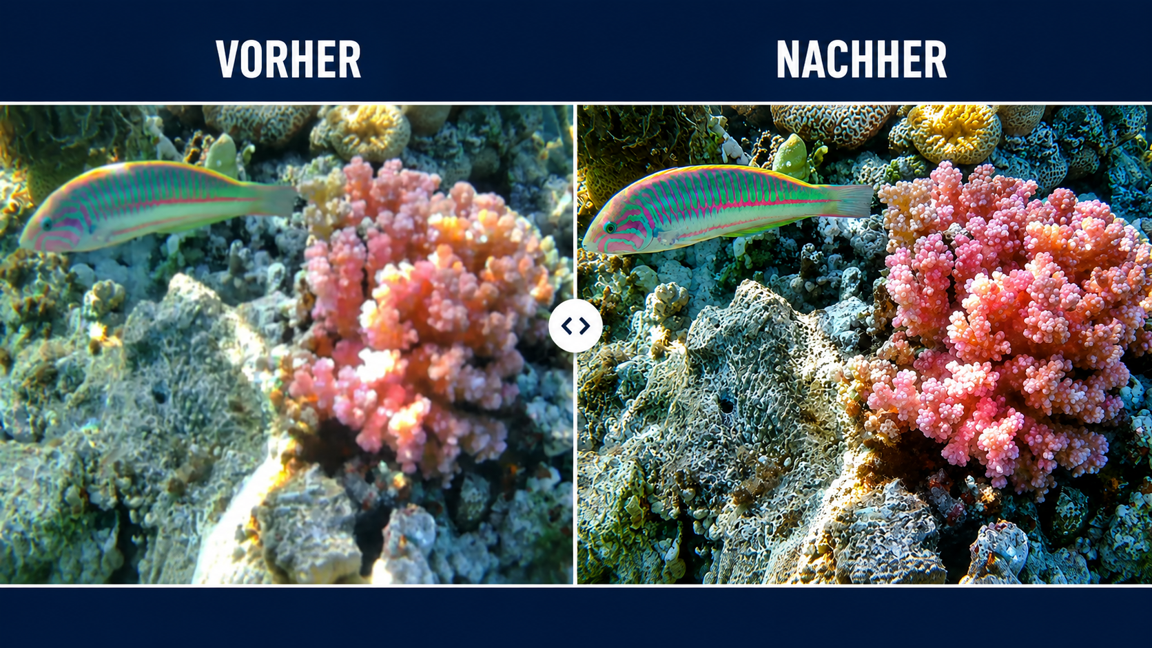 Vorher Nachhher Bilder Vergleich 