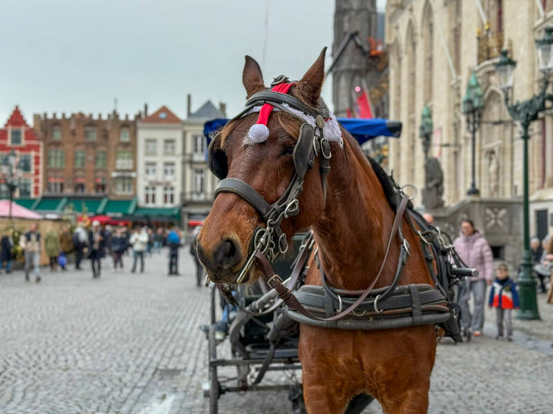 Pferdekutsche in Brügge Belgien