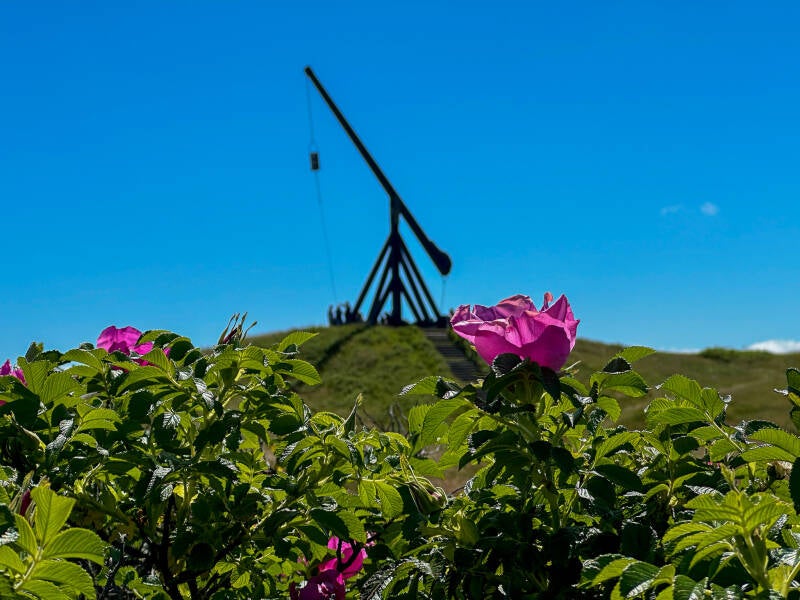 Vippefyret Skagen Sehenswürdigkeit