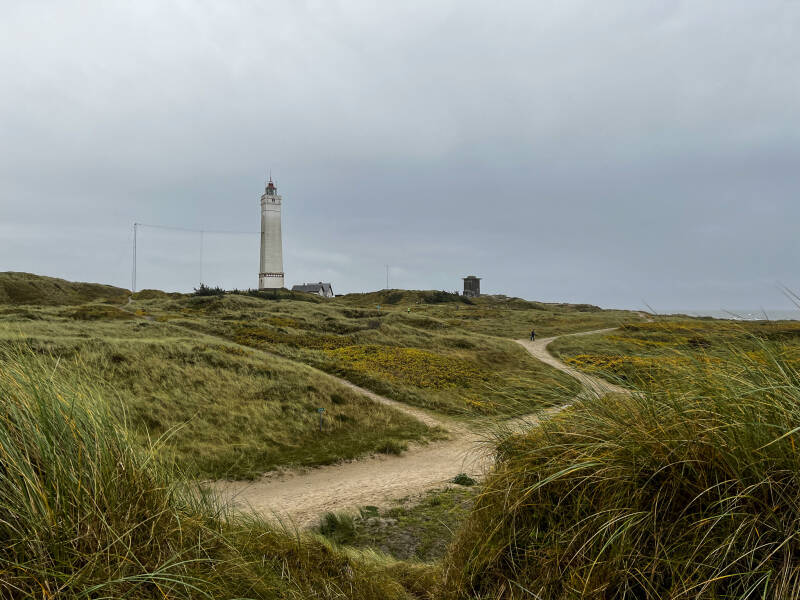 Dünen mit Leuchtturm in Blavand