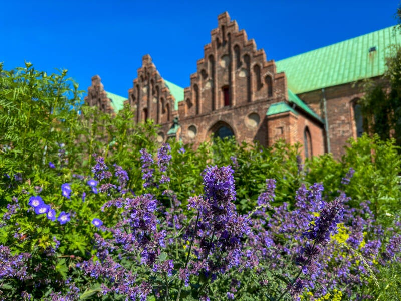 Vor Frue Kirke Aarhus