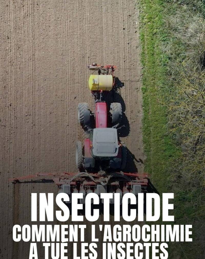 affiche-insecticide-2-standard.jpg