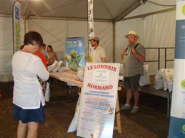 dsc04083-standard.jpg
