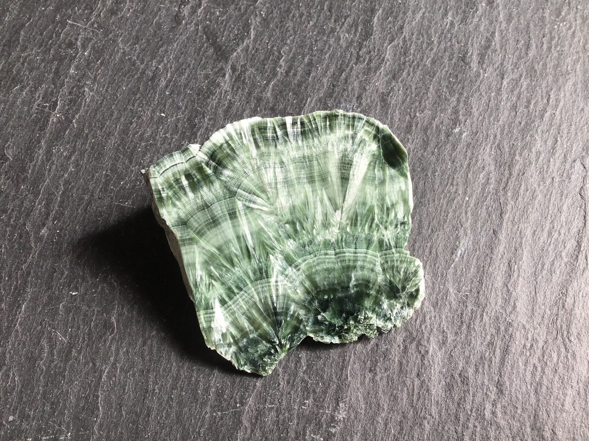 Seraphinite morceau semi brut
