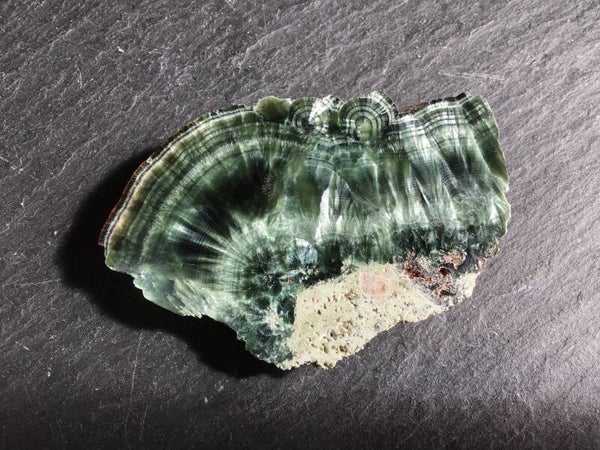 Clinochlore 1 face polie