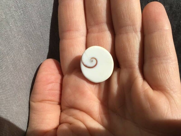 Oeil de Saint Lucie pour le porte monnaie