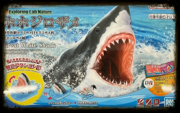 Exploring Lab Nature – Great White Shark Model Kit (Bandai Spirits) (EAN 4573102633927)