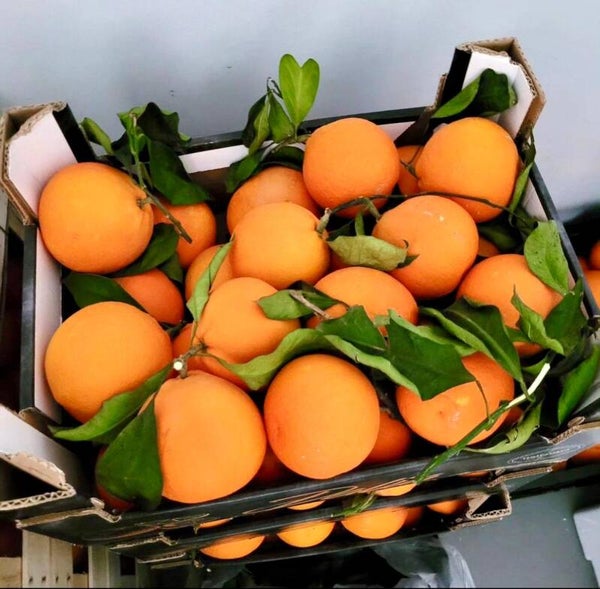 ARANCE di Ribera (Sicilia) by Ale & Vale