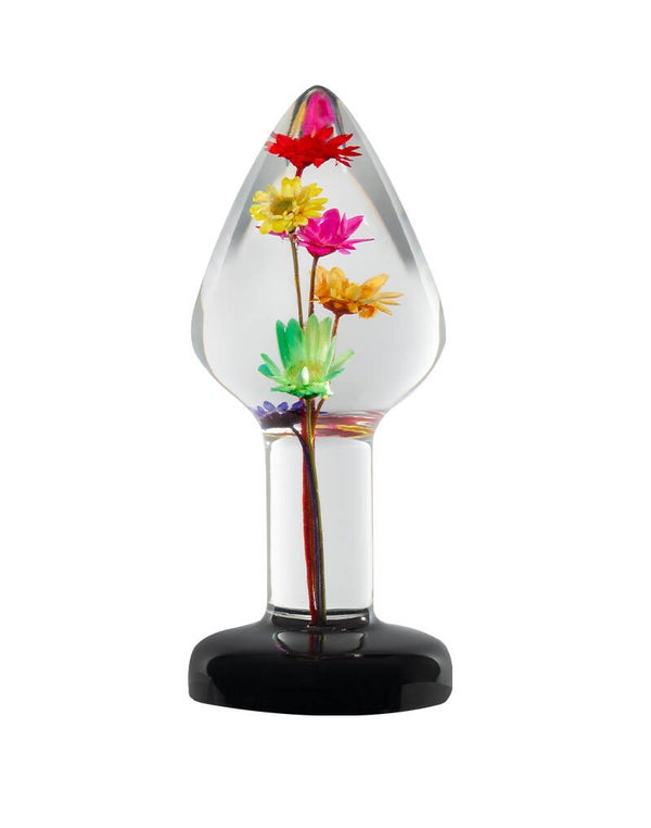 LOVISS - Helichrysum - Plug anal Garden Flower – Transparent