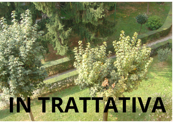 € 195.000,00   -    AMPIO TRE LOCALI TRASFORMABILE IN QUATTRO