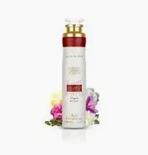SPRAY AMBIENTE  Ana Abiyedh 300ML