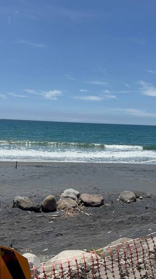 3 Day Sun and Sand : System Reset Retreat (Florida)