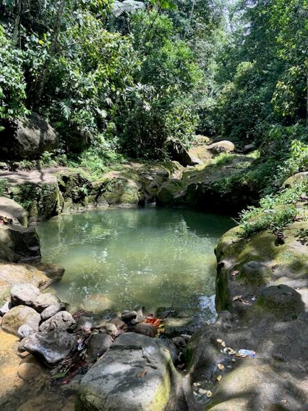 7 Day Goddess Renewal Liquid Gold Retreat