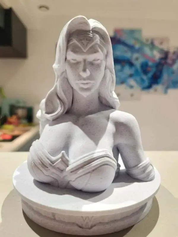 Wonder Woman Gal Gadot Buste Héros Fan Art Collection