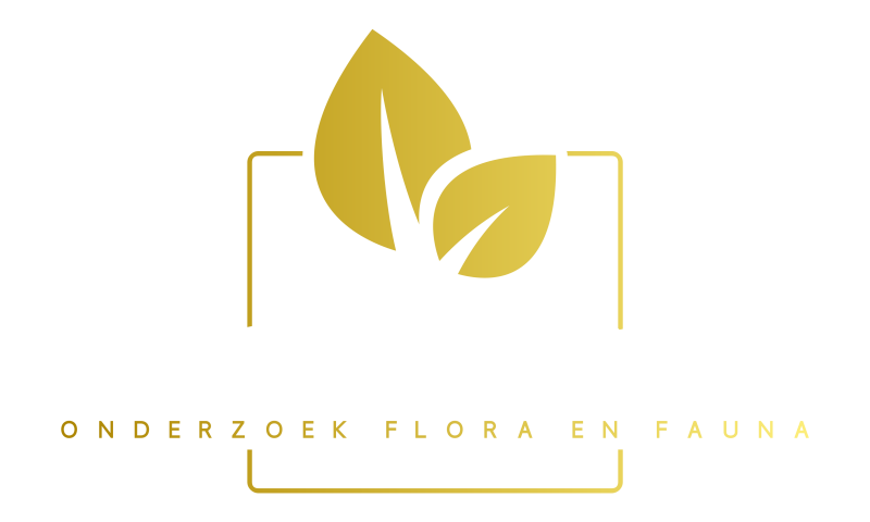 Quickscan flora en fauna