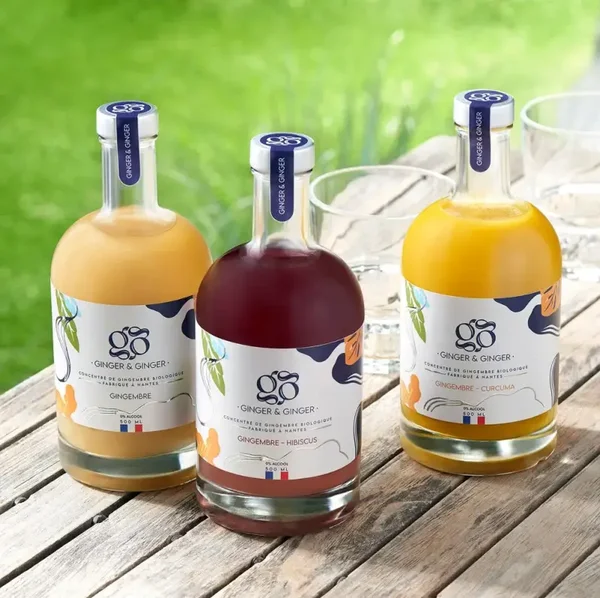 DGG Pack Découverte Ginger & Ginger – 6 bouteilles de 500ml