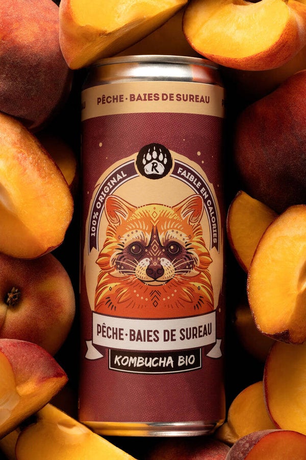 LES KOMBUCHA
