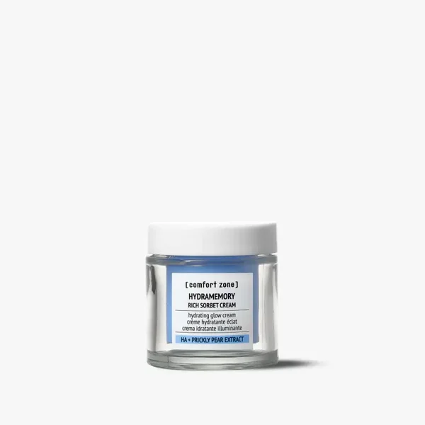 Hydramemory Rich sorbet cream