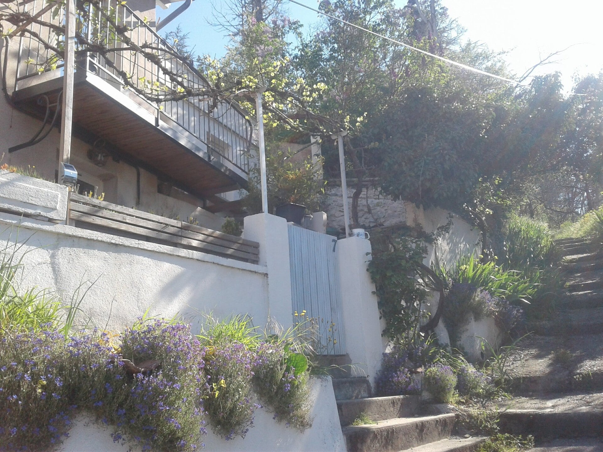 Le Petit Refuge photo 1