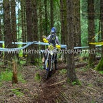 dsc_0565-standard.jpg