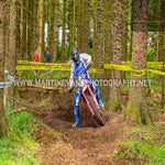 dsc_1041-standard.jpg