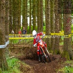 dsc_1077-standard.jpg