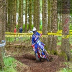 dsc_1157-standard.jpg