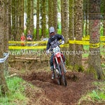 dsc_1163-standard.jpg