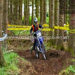 dsc_1237-standard.jpg