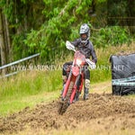 dsc_1390-standard.jpg