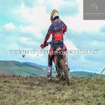 dsc_1998-standard.jpg