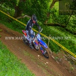 gbi_2875-standard-790gb6.jpg