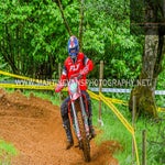 gbi_3077-standard.jpg