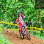 gbi_3113-standard.jpg