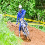 gbi_3133-standard.jpg