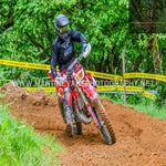 gbi_3318-standard-tg1s8g.jpg