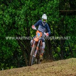 gbi_3585-standard-dirvec.jpg