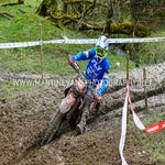 gbi_7274-standard-ofgu2e.jpg