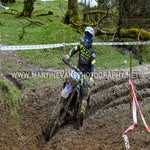 gbi_7327-standard-t973q6.jpg