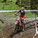 gbi_7331-standard-itup8k.jpg