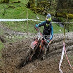 gbi_7377-standard-gb6s9i.jpg