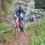 gbi_7586-standard-oz1d15.jpg