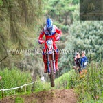 gbi_7607-standard-tlhesr.jpg