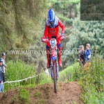gbi_7608-standard-1a88f3.jpg